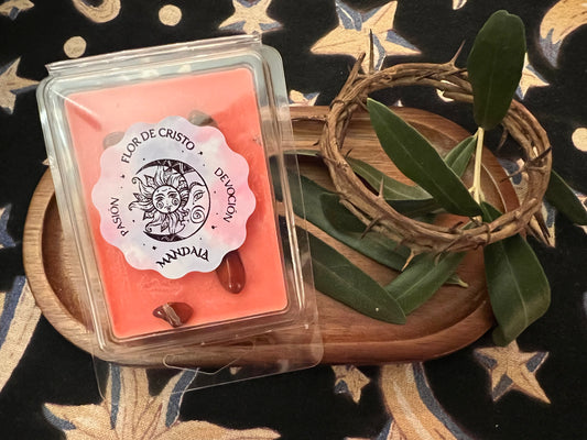 FLOR DE CRISTO (ceras aromaticas)